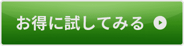 お得に試してみる