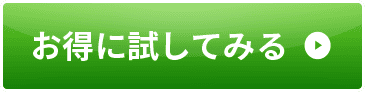 お得に試してみる