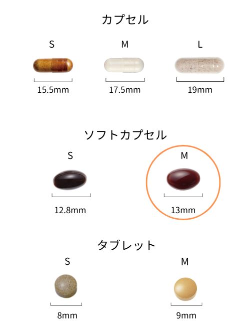 【定期便】リテスタⅡM